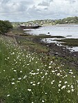 IMG_9783