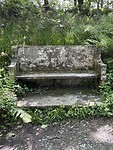 IMG_0003
