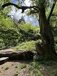 IMG_0001