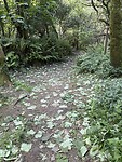 IMG_9990