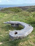 IMG_9973