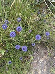 IMG_0141
