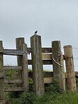 IMG_0122