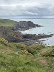 IMG_0118