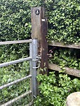 IMG_0111