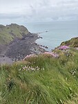 IMG_0108