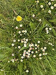 IMG_0094