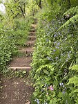 IMG_0090