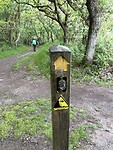 IMG_0078
