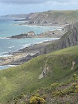 IMG_0257