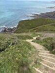 IMG_0252