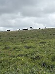 IMG_0253