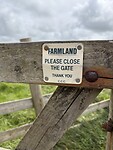 IMG_0249