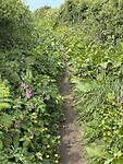 IMG_0244