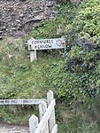IMG_0239