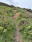 IMG_0229