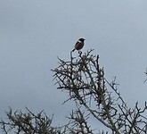 IMG_0216