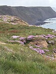 IMG_0202
