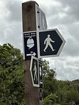 IMG_0197