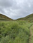 IMG_0198