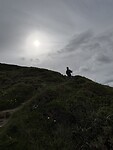 IMG_0195