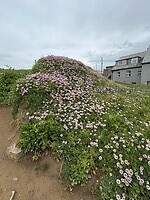 IMG_0354