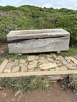 IMG_0341