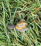 IMG_0326