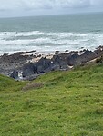 IMG_0317