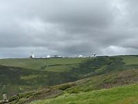 IMG_0313