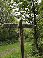 IMG_0306
