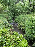IMG_0307