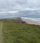 IMG_0320