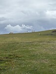IMG_0335
