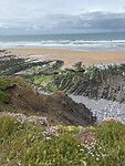 IMG_0337