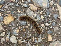 IMG_0472