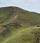 IMG_0461
