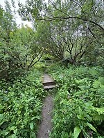 IMG_0448