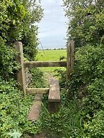 IMG_0445