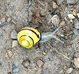IMG_0438