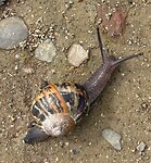 IMG_0431