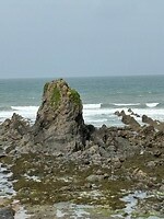 IMG_0430