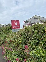 IMG_0413