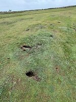 IMG_0408