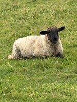 IMG_0412