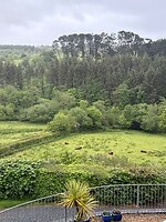 IMG_0391
