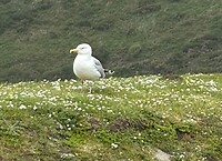 IMG_0548