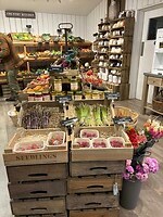 IMG_0544