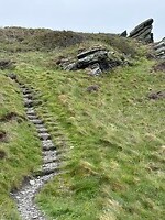 IMG_0540