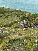 IMG_0537
